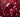 Burgundy Crystal Meanings: Symbolism, Psychology & Buying