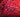 Preciosa flatback crystals on a red fabric