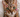bengal cat covered in gems