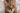 bengal cat covered in gems