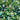 Swarovski Non Hotfix Crystals in an array of green colours