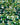 Swarovski Non Hotfix Crystals in an array of green colours