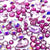 Estella Flat Back Rhinestones Non Hotfix Mix Pink Lady-Estella Flatback Rhinestones Crystals (Non Hotfix)-Bluestreak Crystals