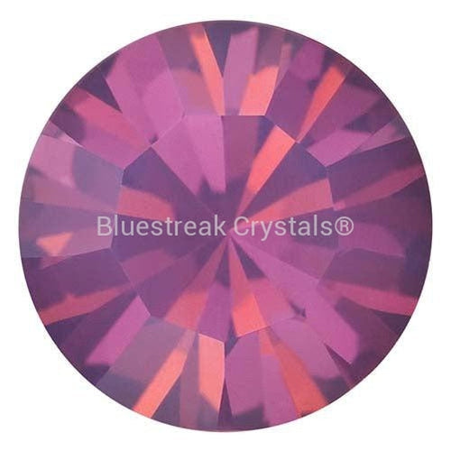 Preciosa Chatons Round Stones Amethyst Opal-Preciosa Chatons & Round Stones-PP9 (1.55mm) - Pack of 100-Bluestreak Crystals