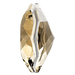 Serinity Pendants Classic Cut (6430) Crystal Golden Shadow - Bluestreak Crystals