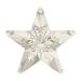 Swarovski Fancy Stones Star (4745) Crystal Silver Shade - Bluestreak Crystals