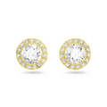 Swarovski Una Angelic Stud Earrings Round Cut White Gold-Tone Plated - Bluestreak Crystals