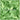 Swarovski Zirconia Square Princess Pure Brilliance Cut Spring Green - Bluestreak Crystals