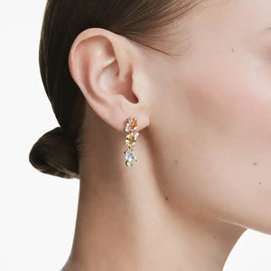 Swarovski Drop Earrings
