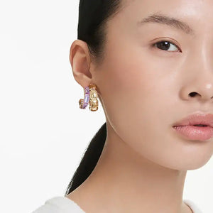 Swarovski Earrings